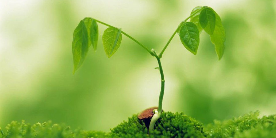 Scope of Ecology