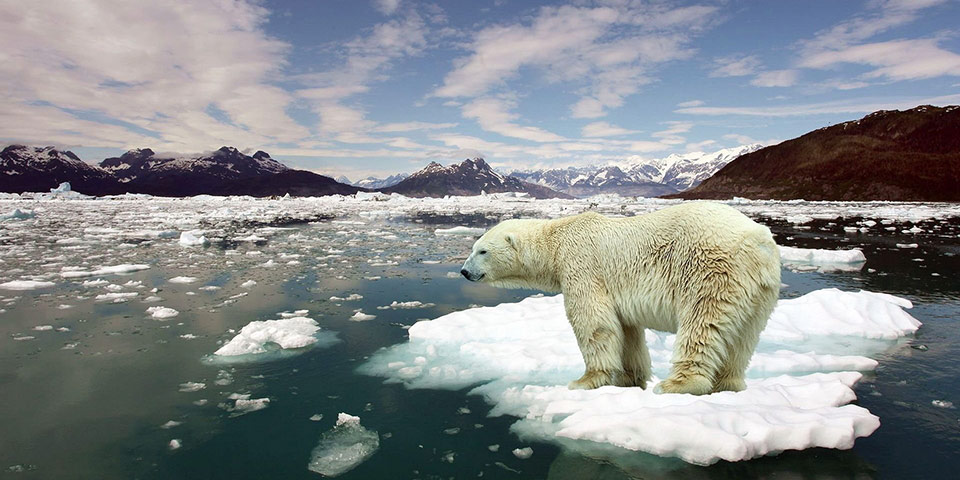 Hijob pornosini onlayn tomosha qiling Eng yaxshi lezbiyenlarni tomosha qiling